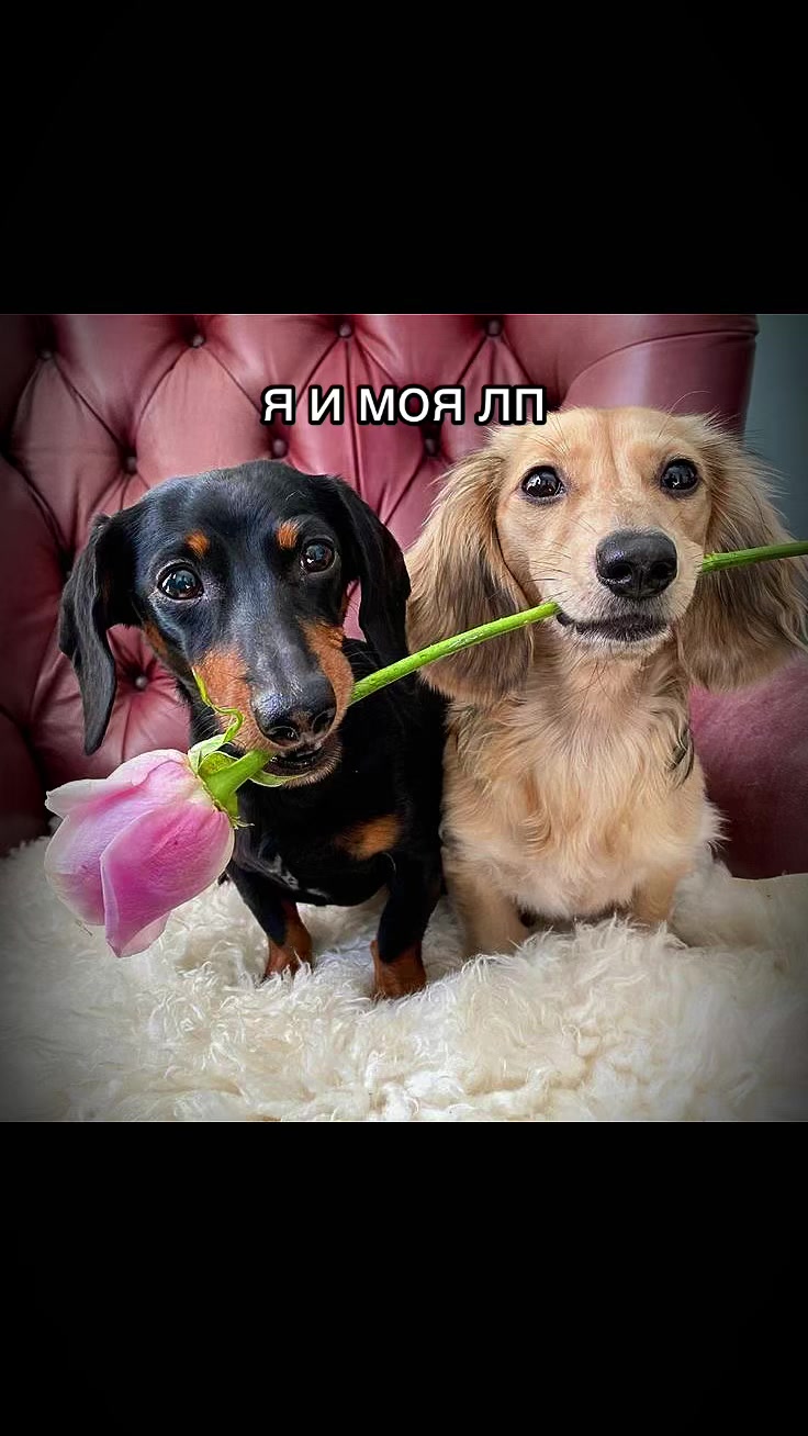 @₽ж@v4ин@