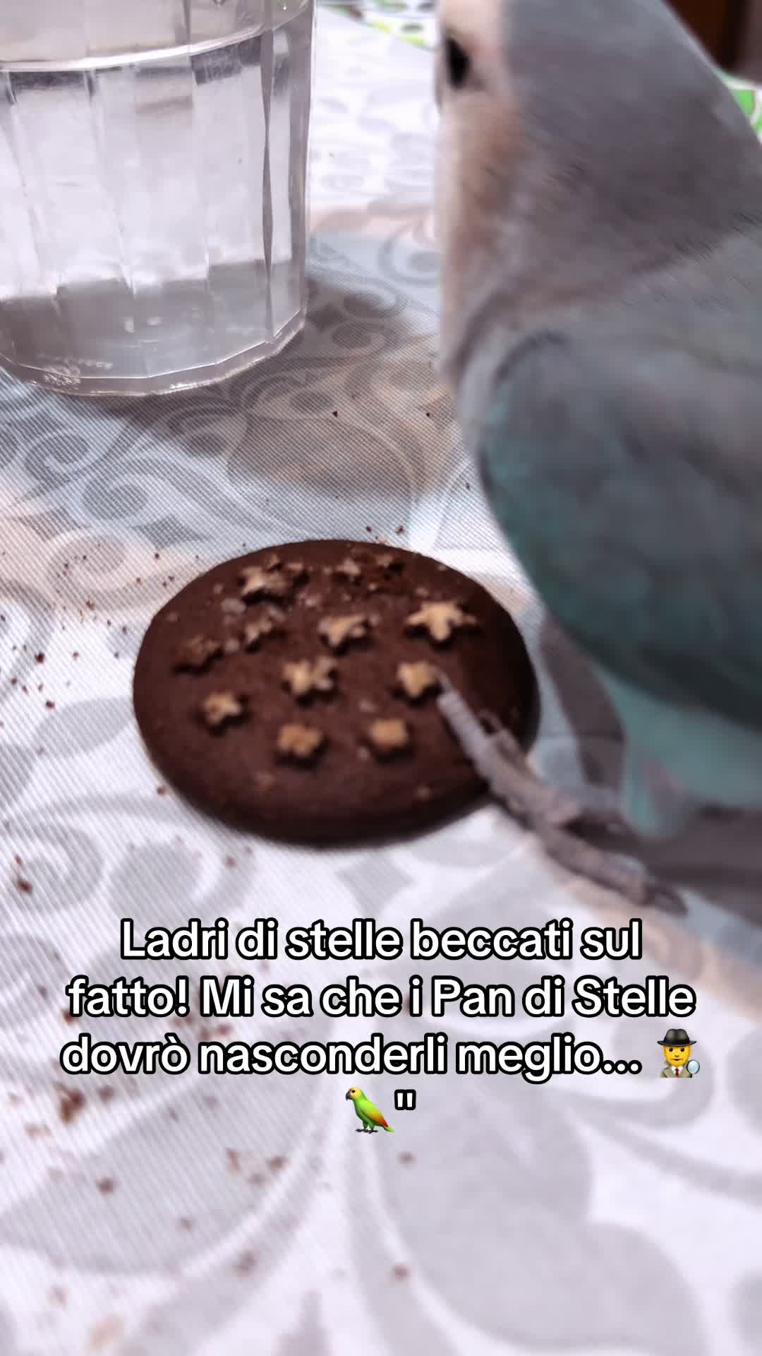 @ANGELA CATANESE