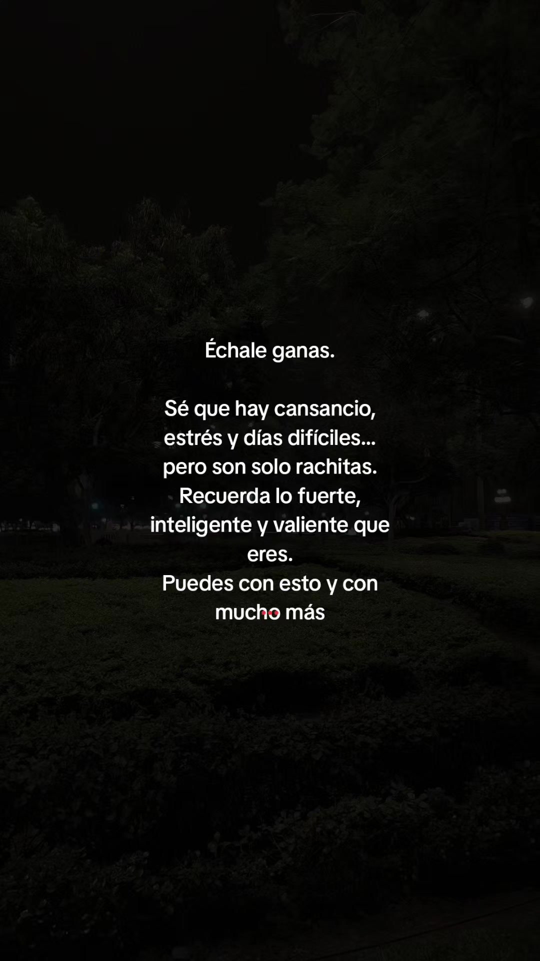 @ᴍɪᴄʜᴀᴇʟᴋᴇᴠɪɴ
