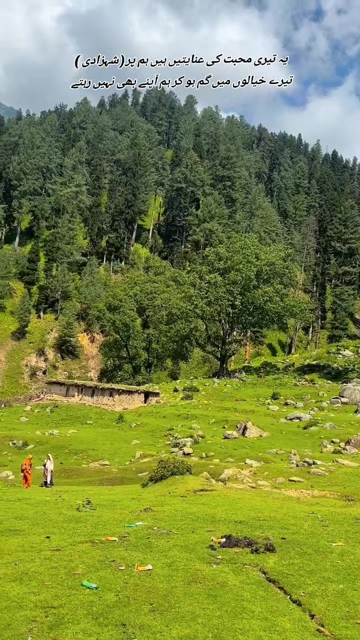 @💫❤️🔥دل کا بادشاہ❤️🔥💫