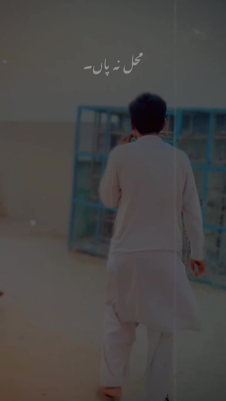 @عدیل رحمن لیہ وال کبوتر باز