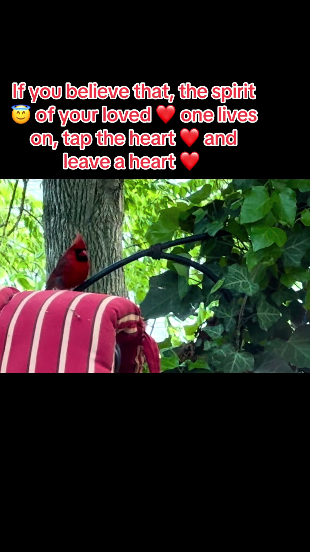@E🌹