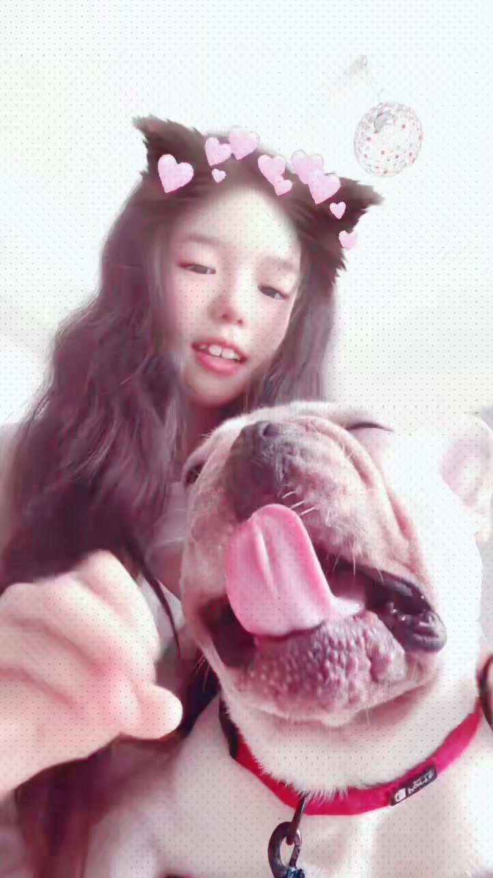 @コチハル氏🍒(Kochiharushi)🐴