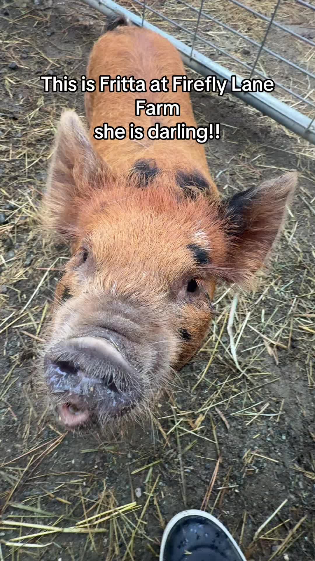 @Danielle