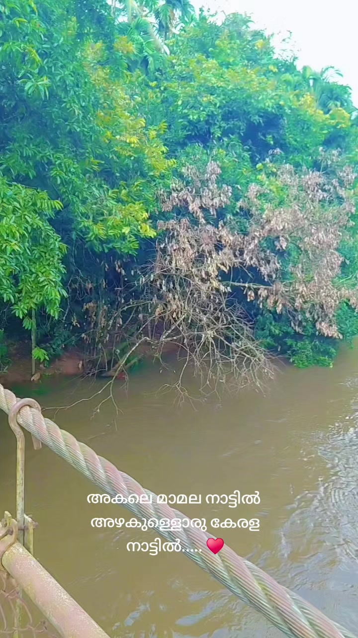 @♥️🤍🕊️ഫാത്തി🕊️🤍♥️
