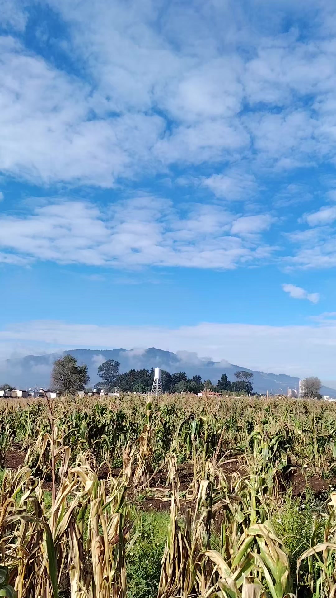 @Puac.gonzalez502🇬🇹