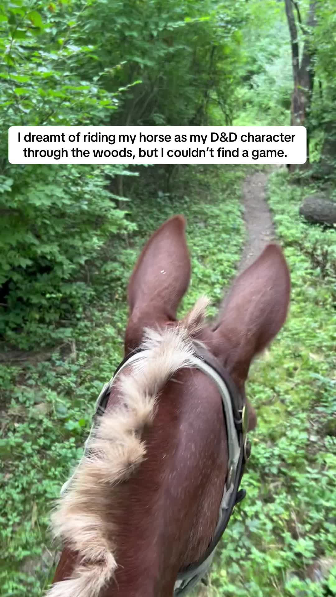 @SaddleSnaps