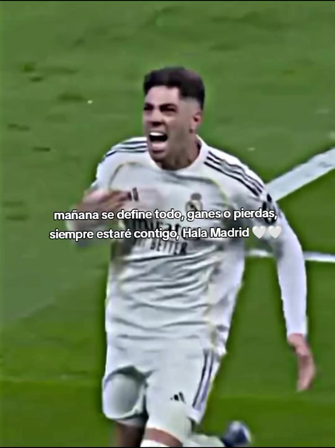 @/ £ ™