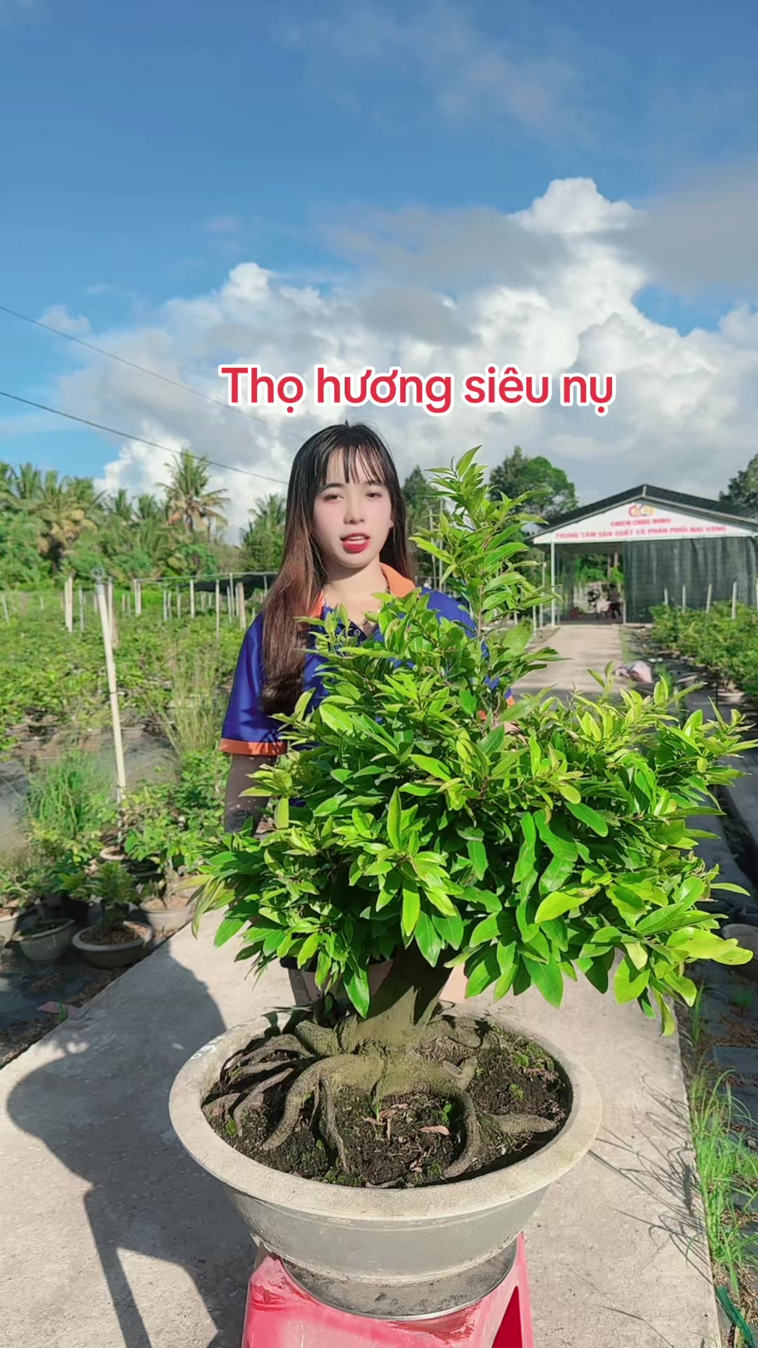 @Chichchoebong79