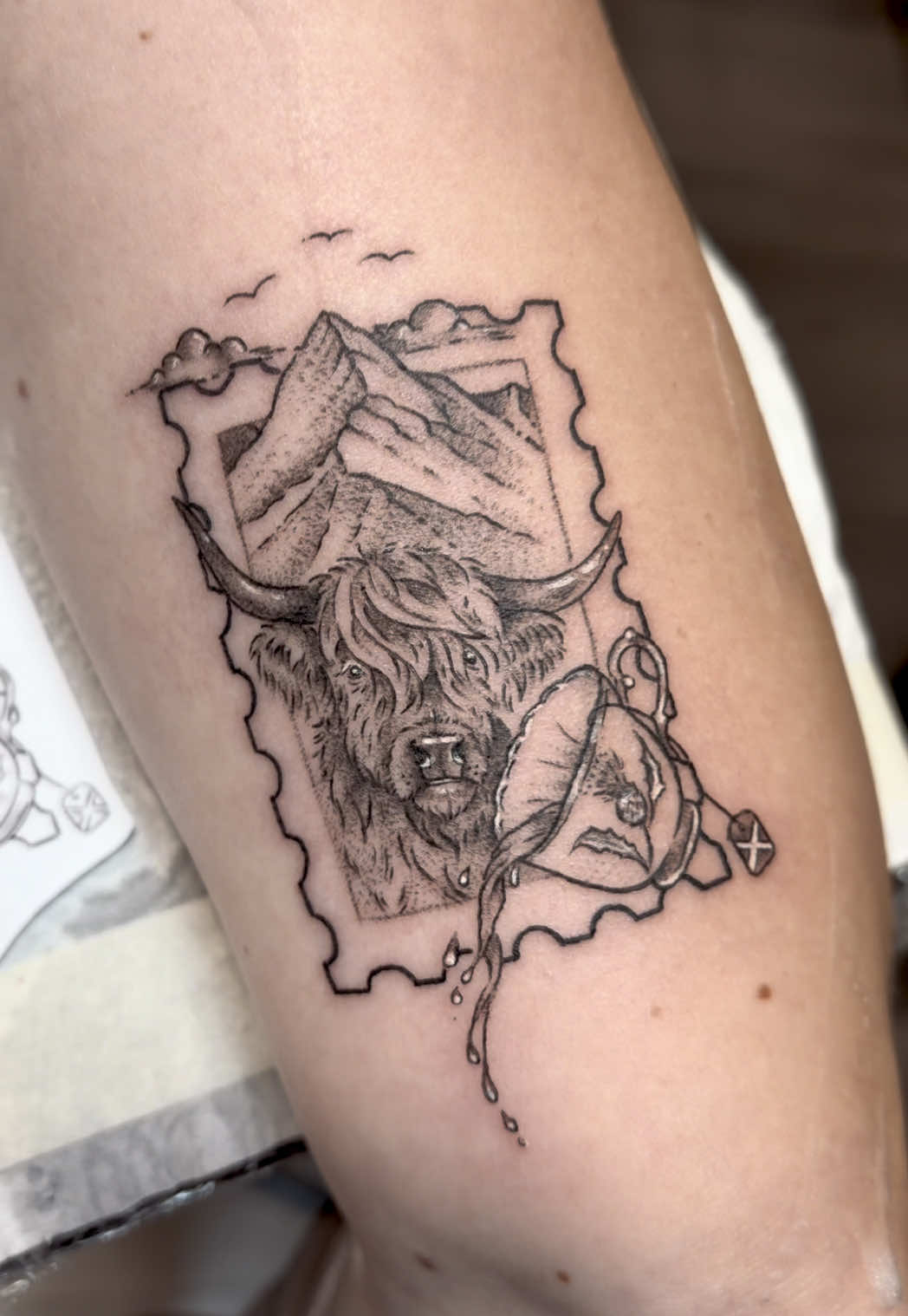 @snow.white.ink