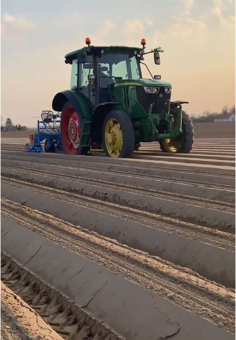 @Ćwikła agro