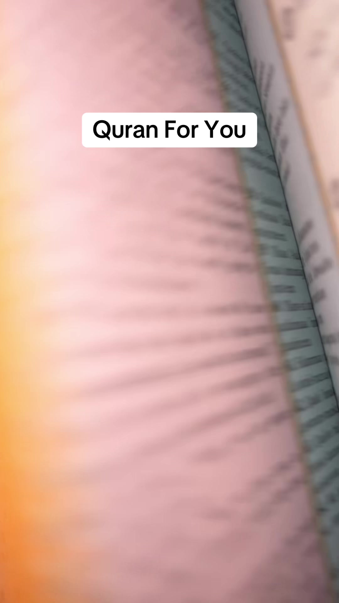 @Message From The One