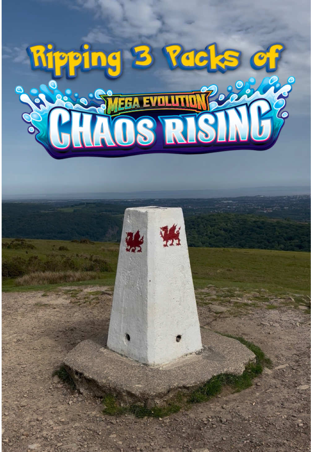 @Tom Watts Pokémon