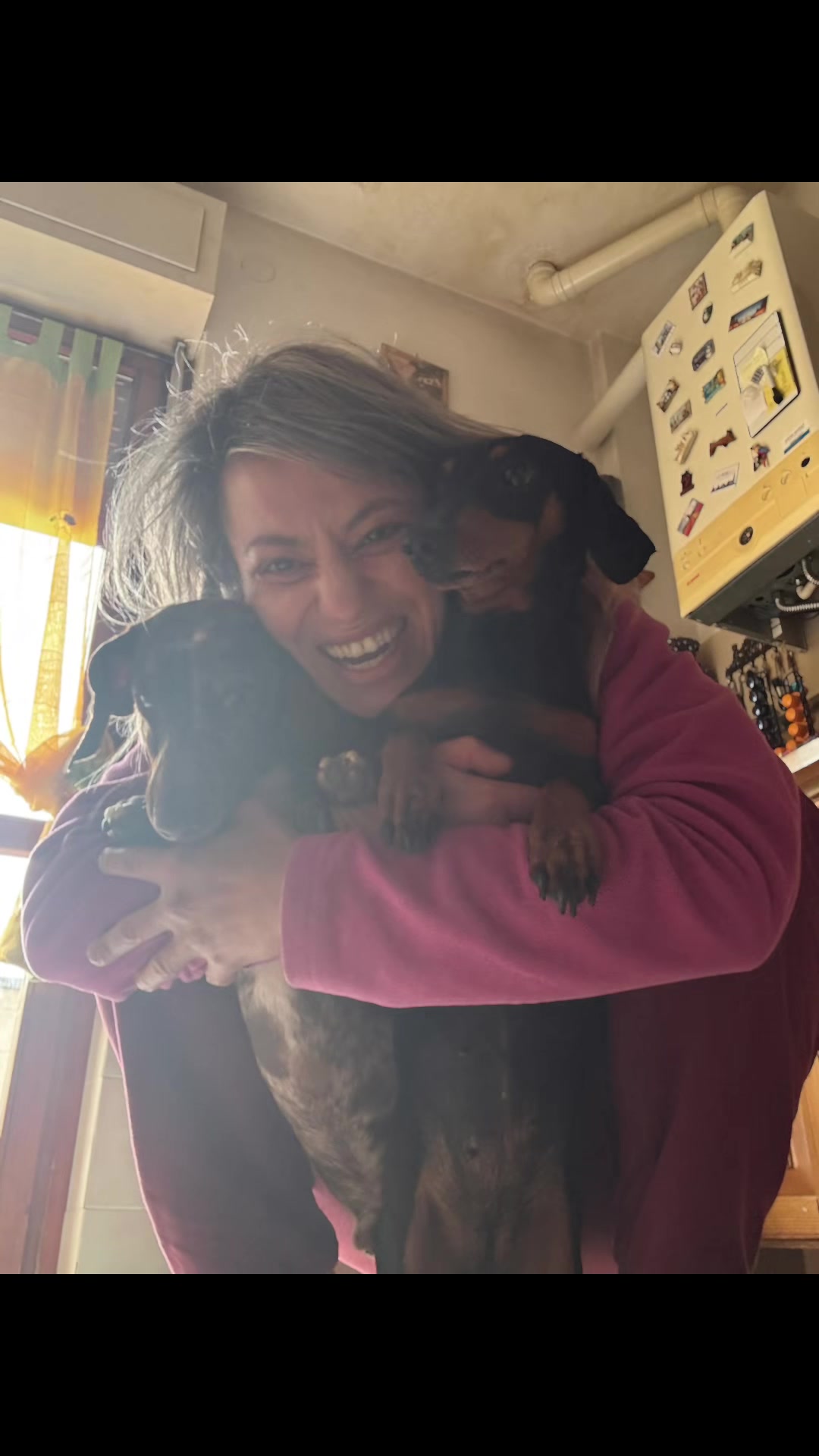 @The Dachshund House