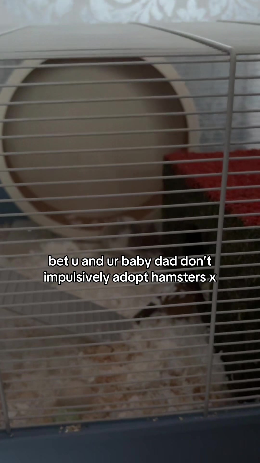 @sarah t