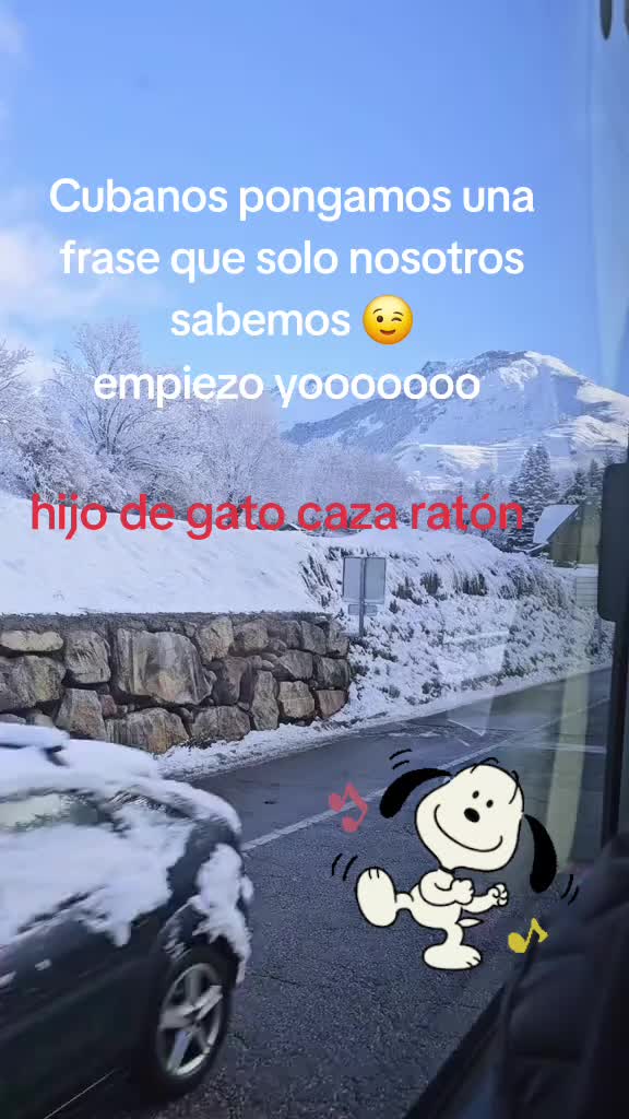 @dayisalgado