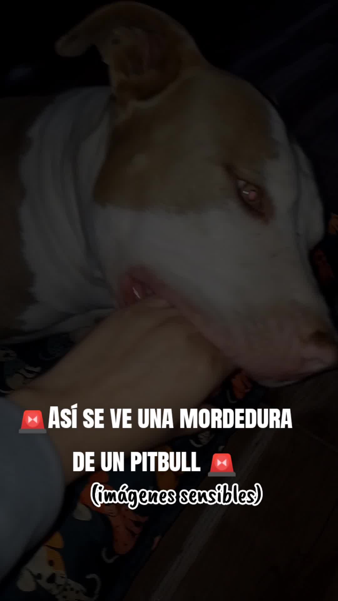 @Bibi 💙🇦🇷