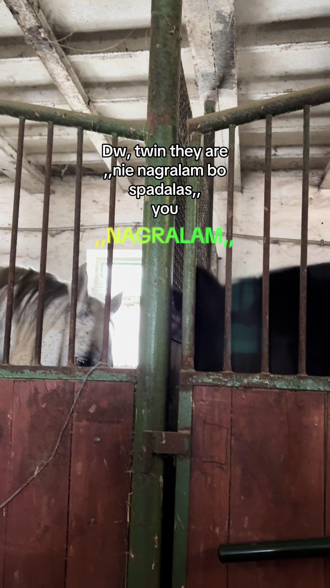 @l.equestrian🪽