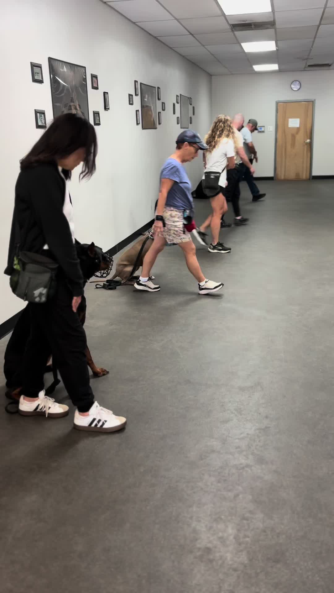 @Corsogirl123
