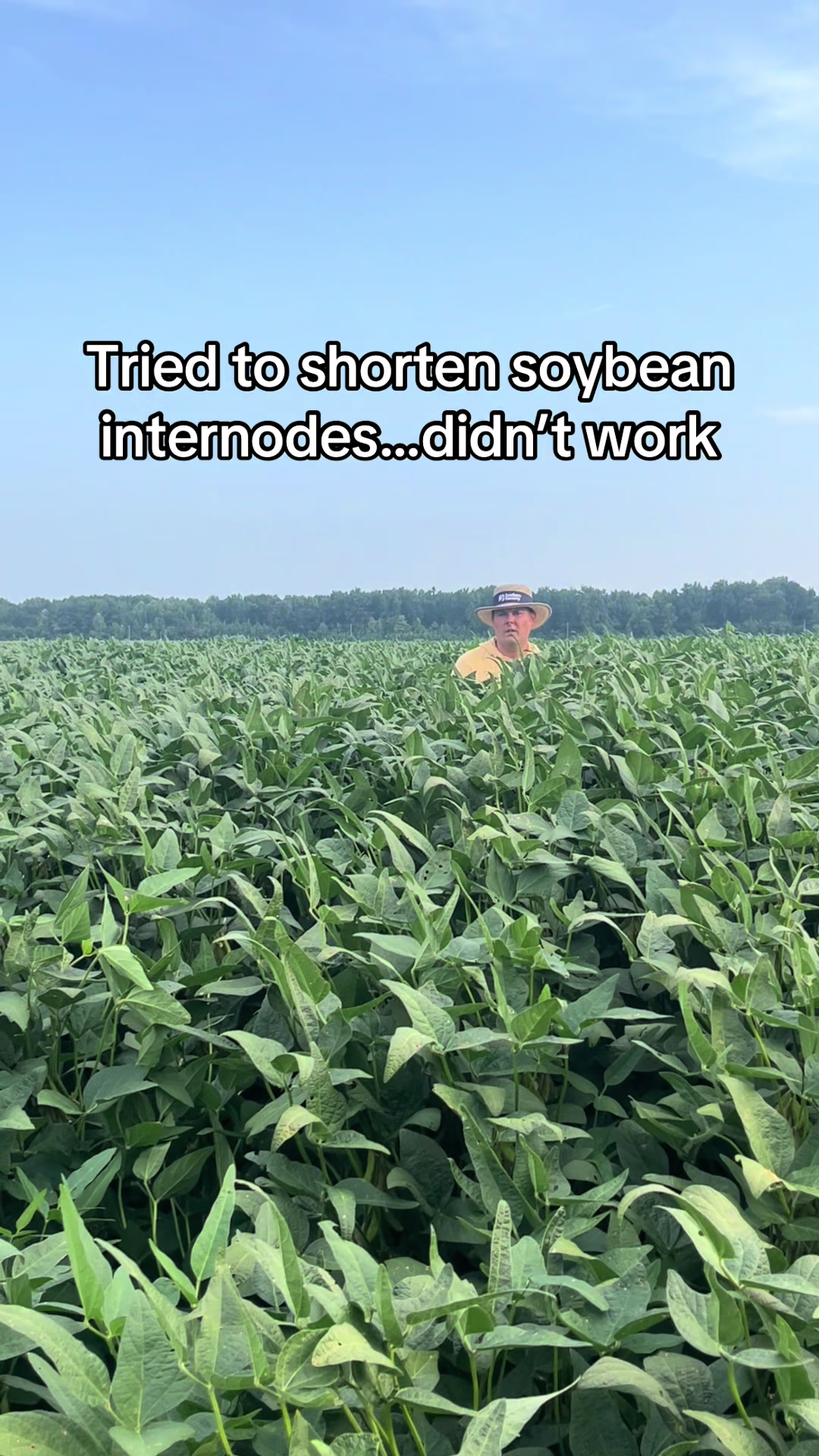 @hookfamilyfarms