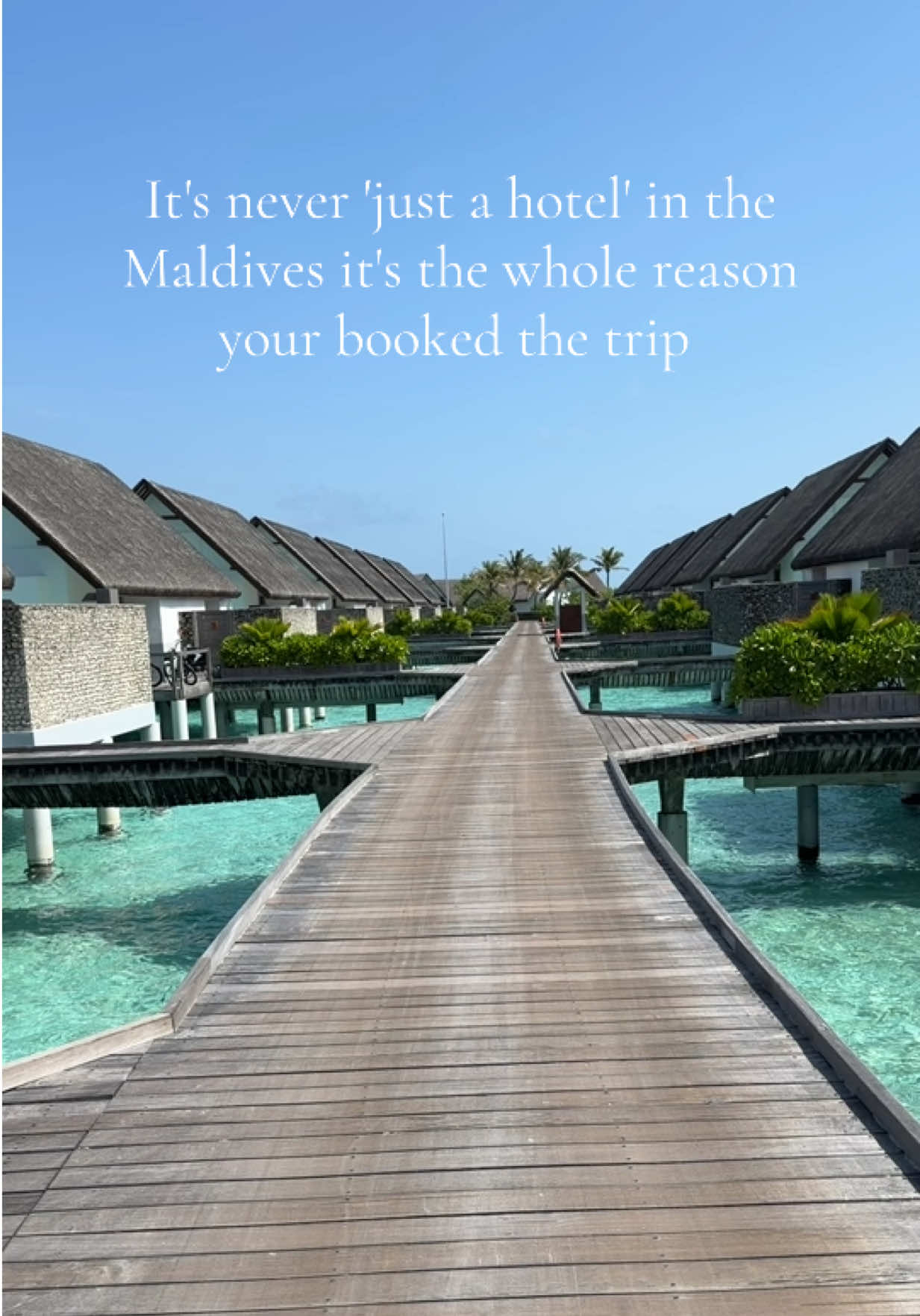 @Holly | Travel Planner | 🏝️