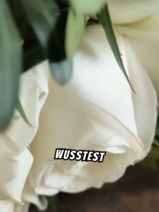@Unglaubliche Fakten zu ...