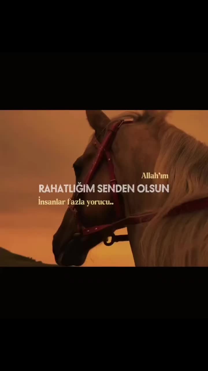 @☘🅢︎İ🅨︎🅐︎🅗︎♡İ🅝︎🅒︎İ♡