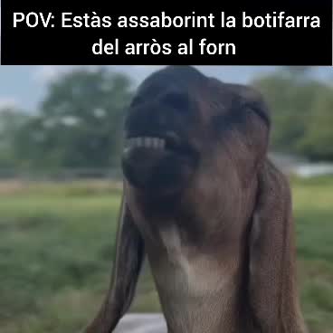 @xufet
