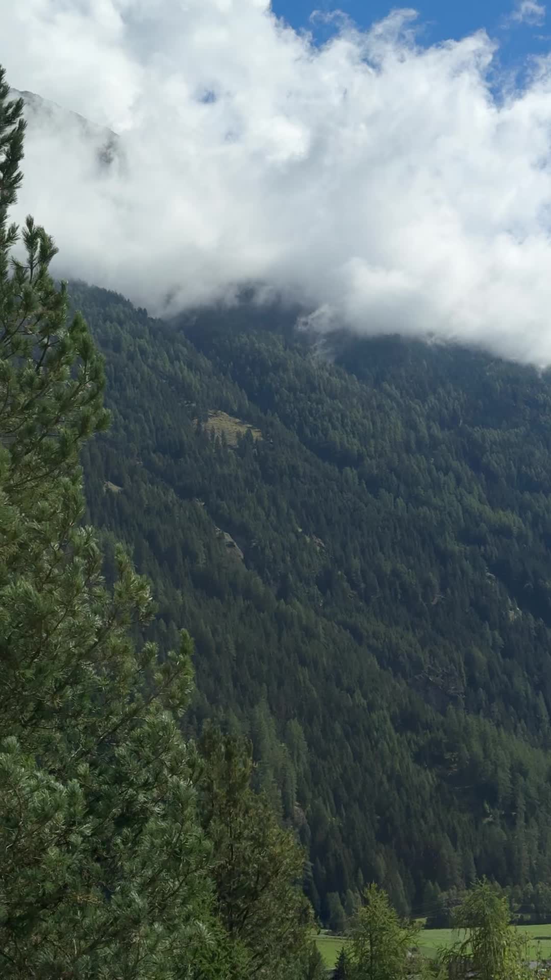 @Chiyawali