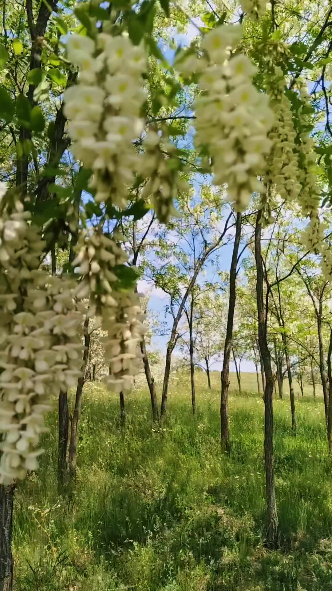 @Виталина Никифорова