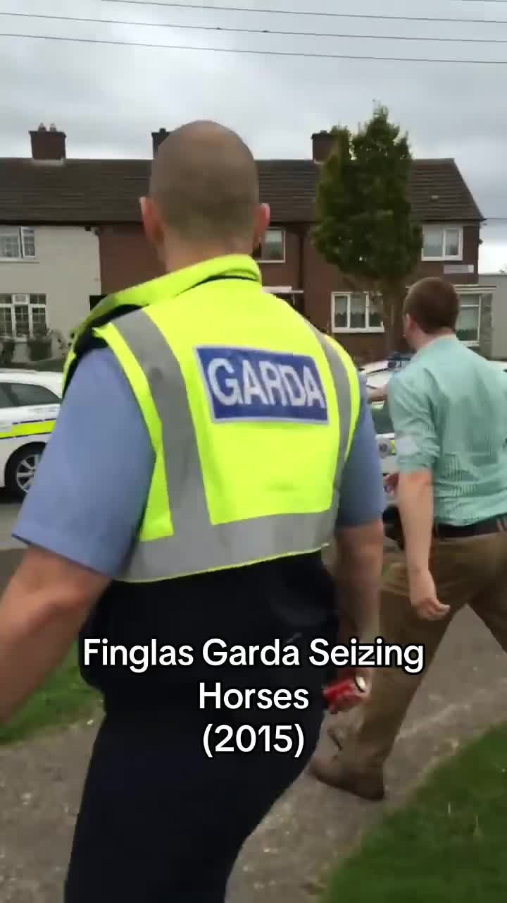 @Classic Irish Videos