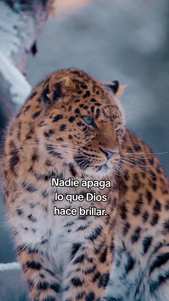 @NyxcSam