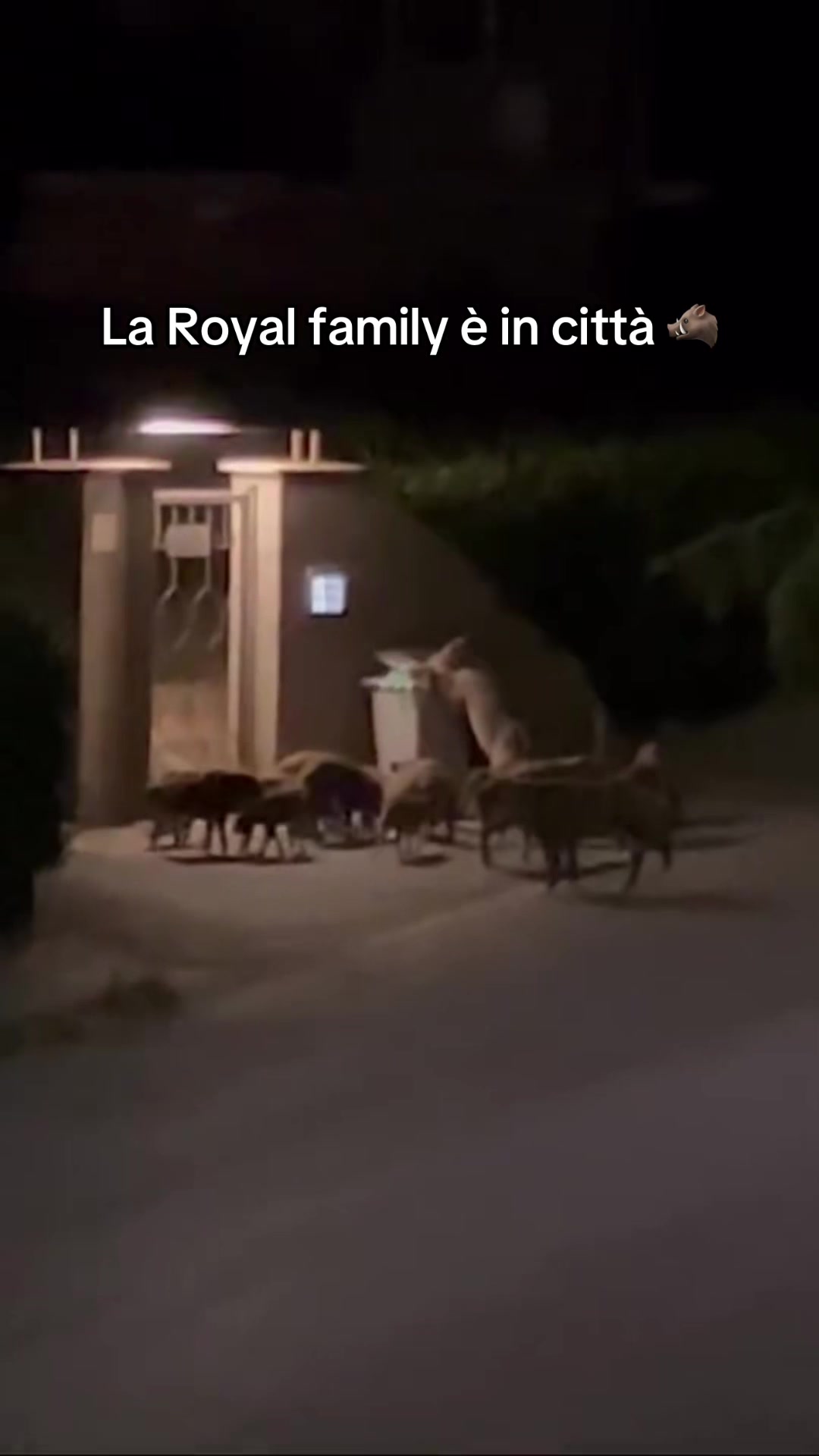 @tuscialove