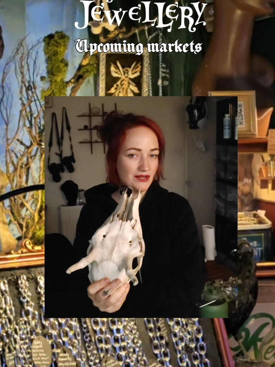 @Hebsons Curiosity shop🧚♀️
