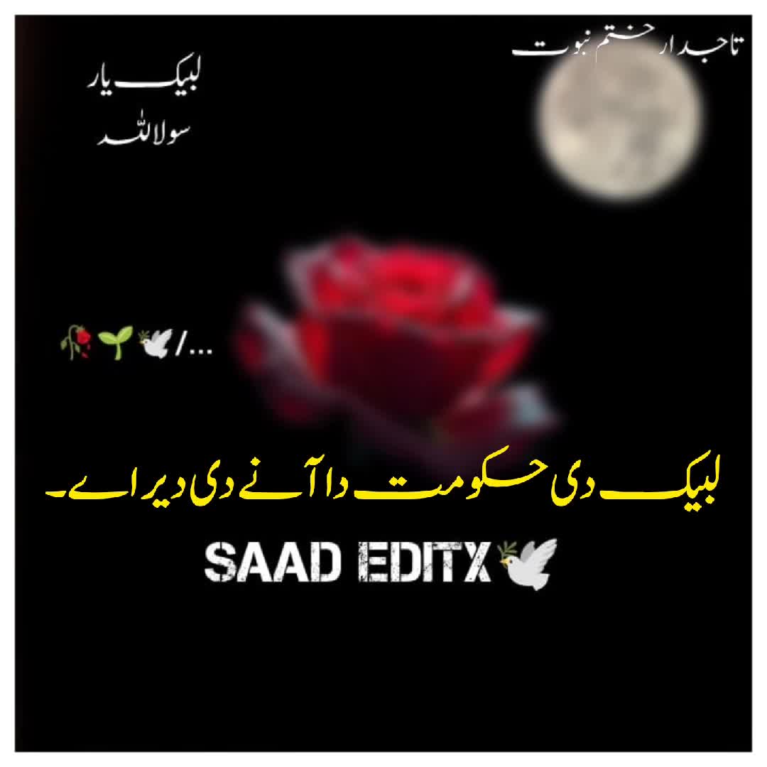 @𝗦𝗮𝗮𝗱 𝗘𝗱𝗶𝘁𝘅 🕊️