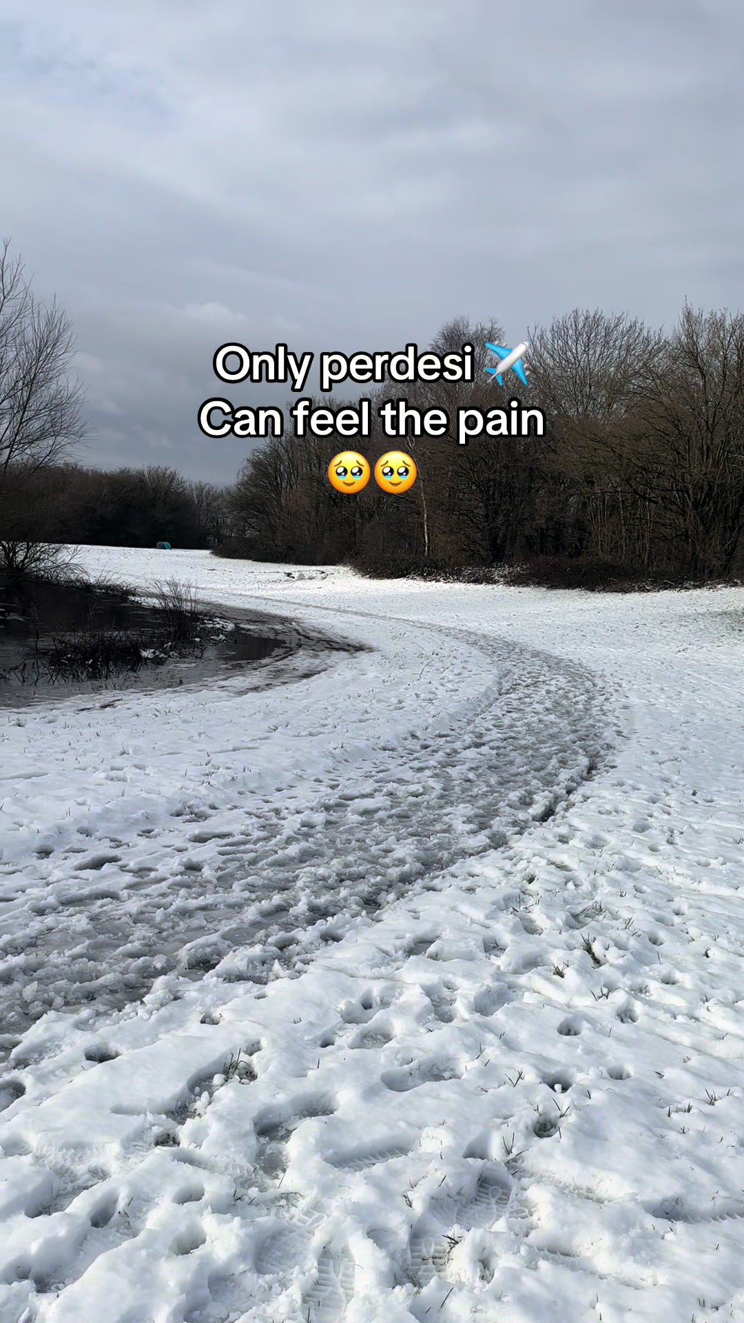 @Areesha