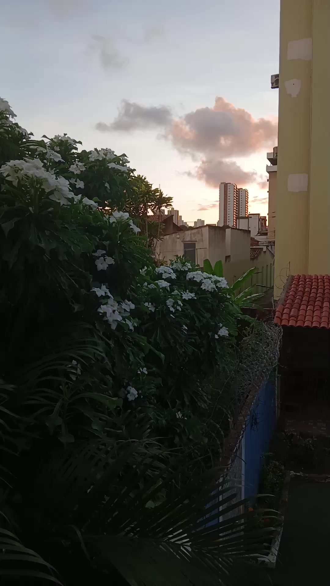 @Juci Oliveira