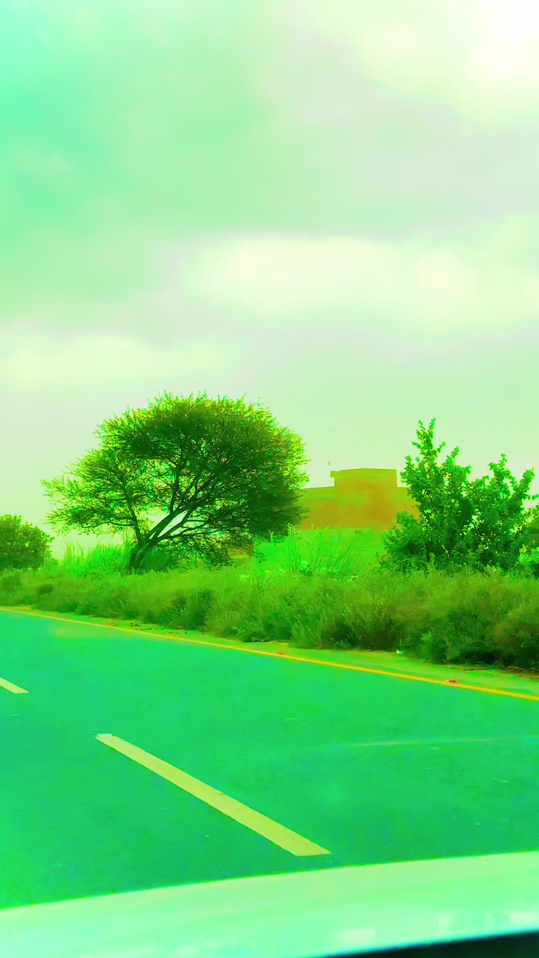@Zuhaib Rathor