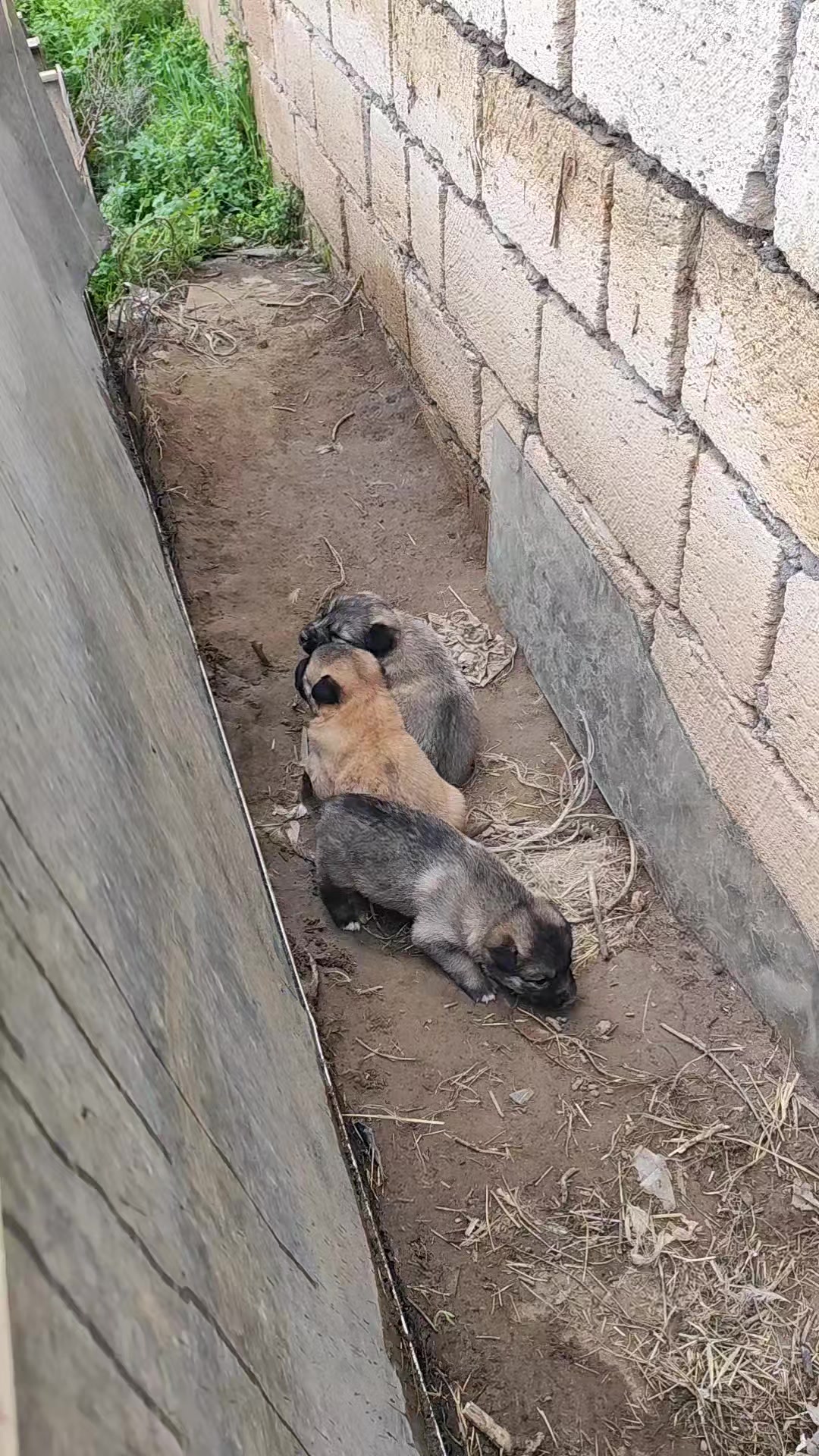 @𝗥𝘂𝗳ə𝘁 İ𝗺𝗶ş𝗹𝗶 ⚡