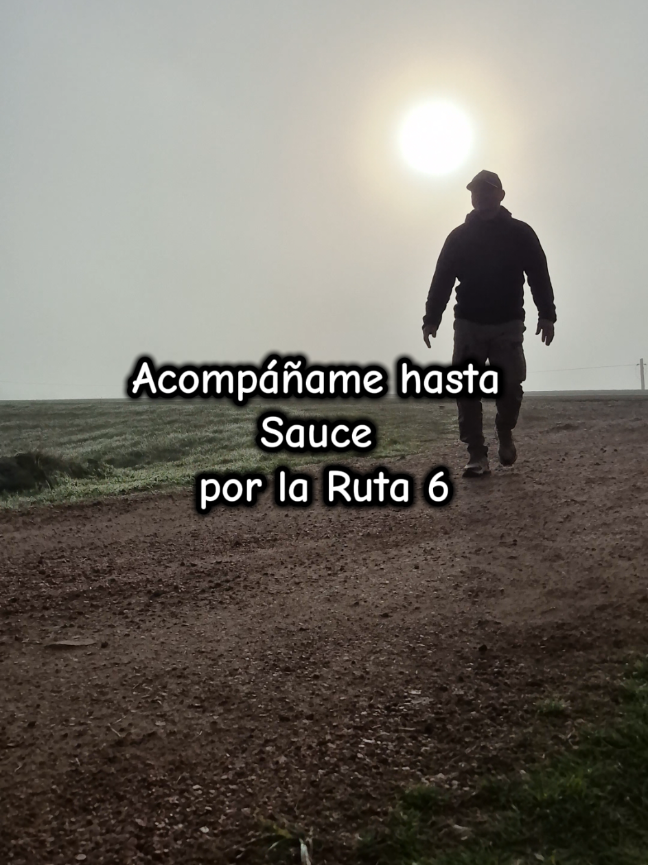 @Elchamoyona