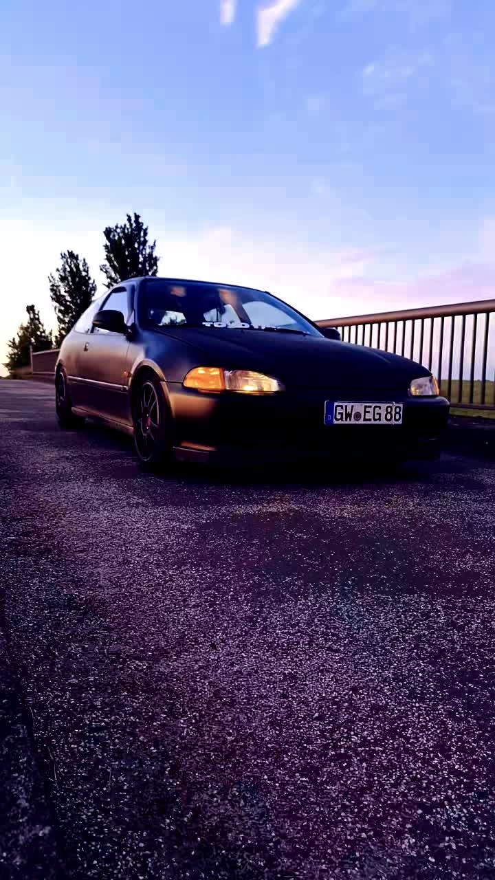 @halle_88_