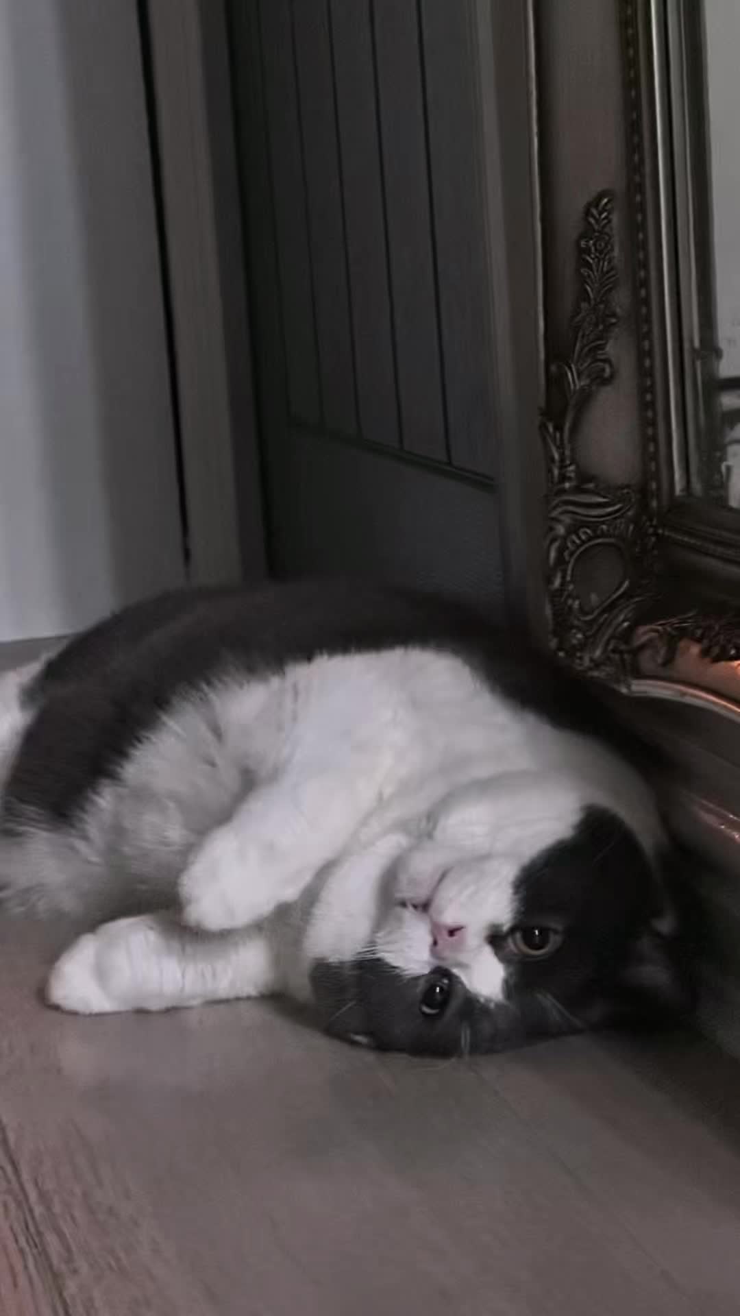 @Emojithecat