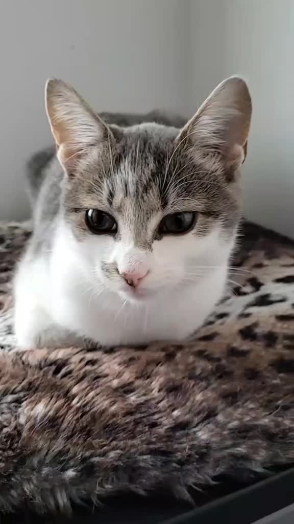 @DesiFaye DeanJames C