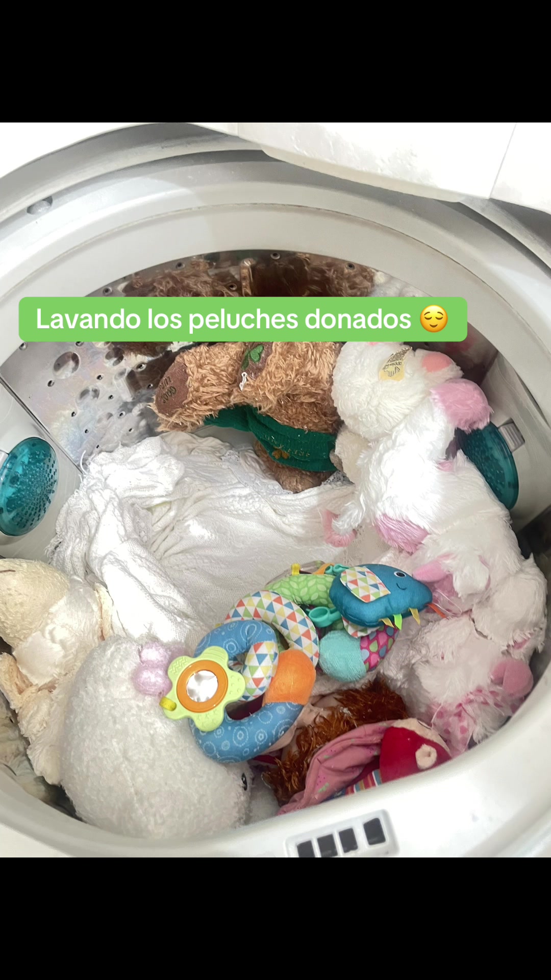 @sandra yepez
