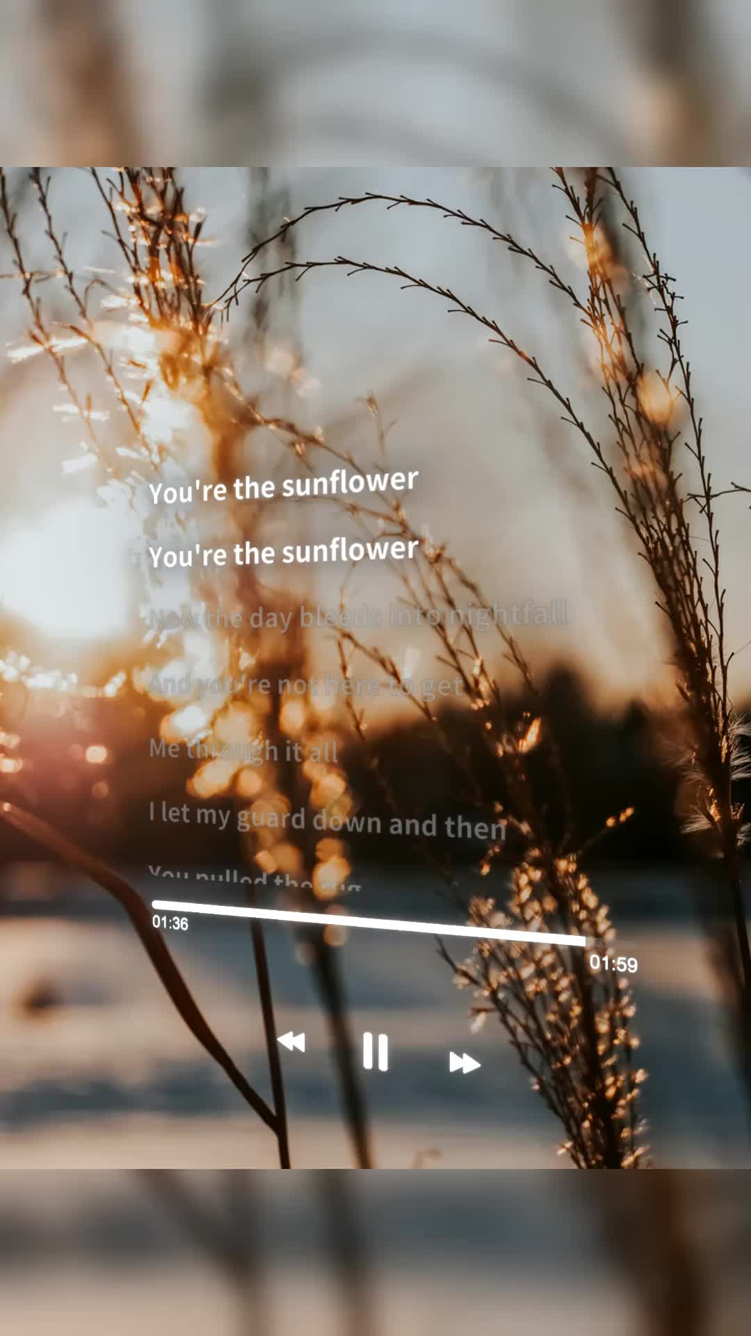 @WordMoves