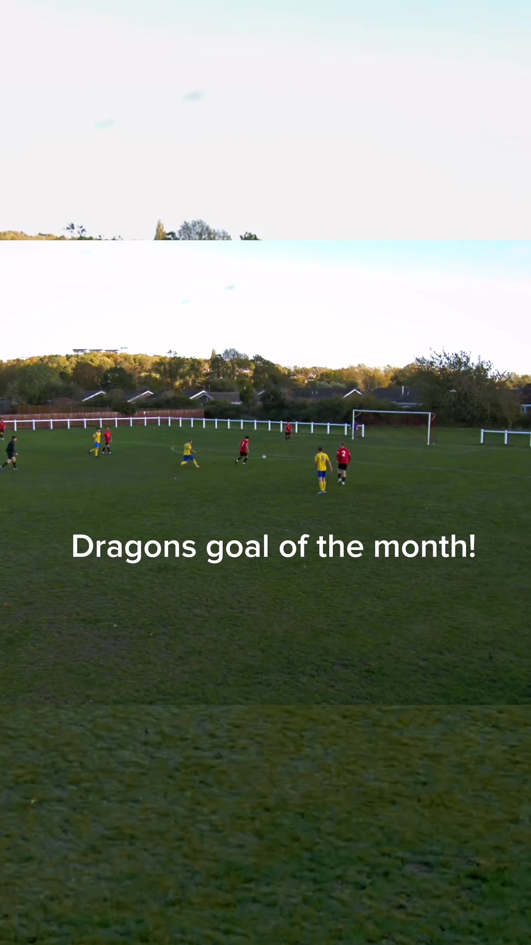 @Hadleigh Dragons