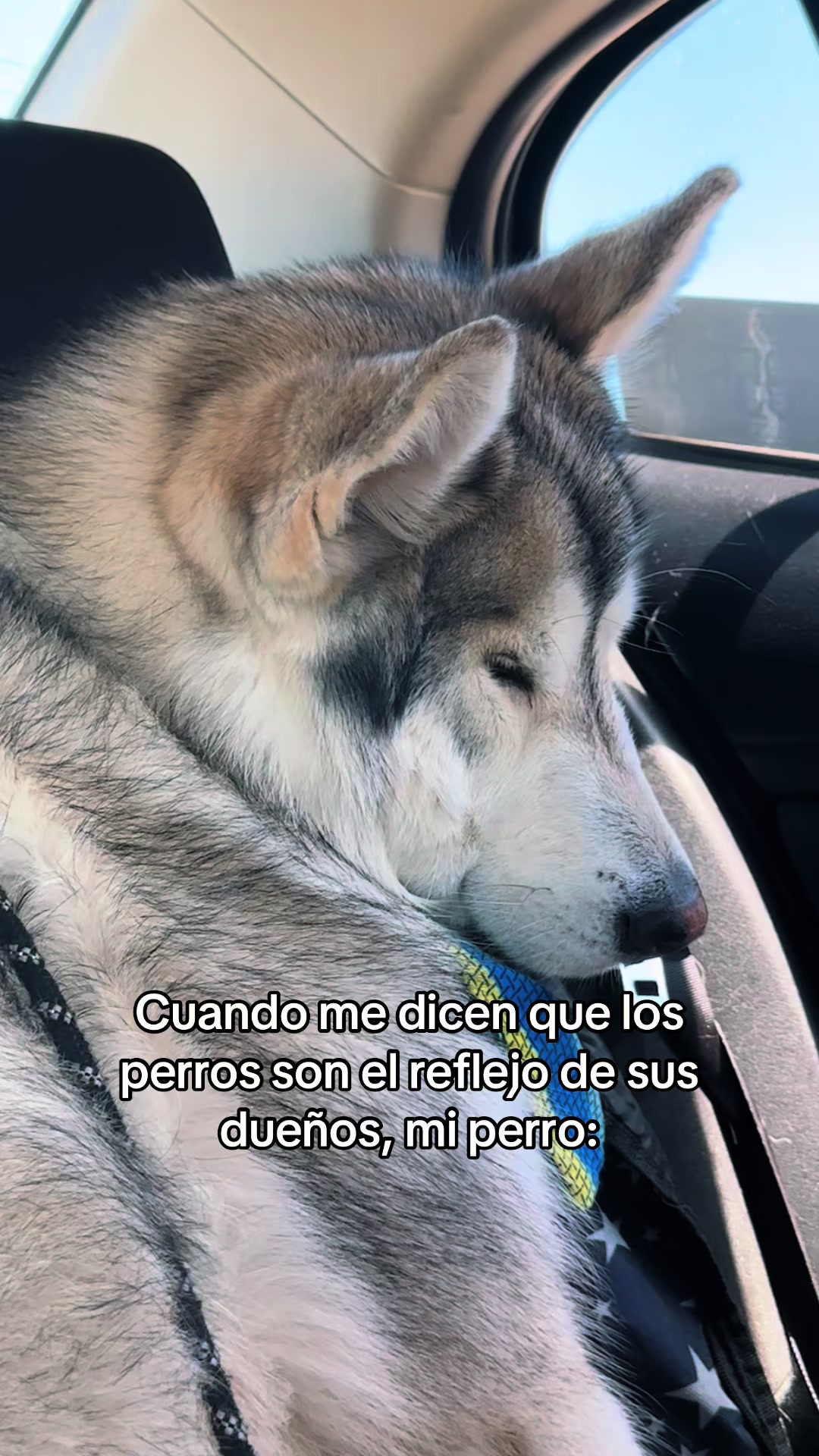 @KZ