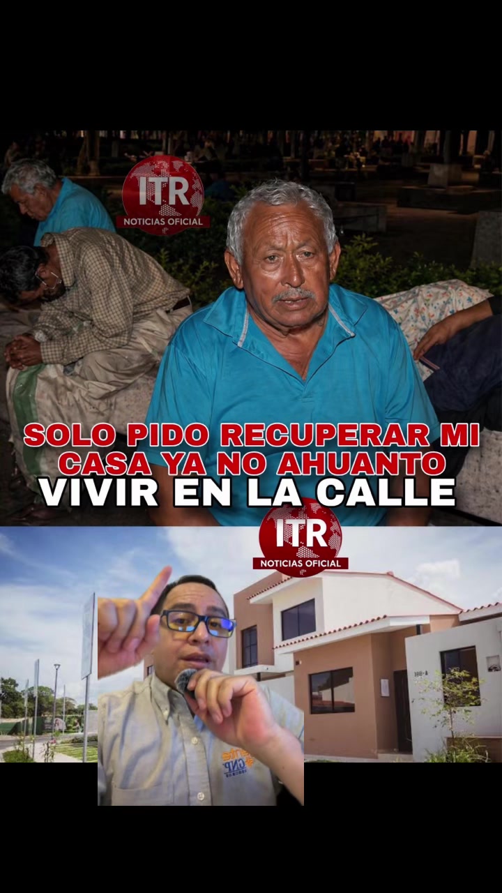 @Asesor Paco Lovely