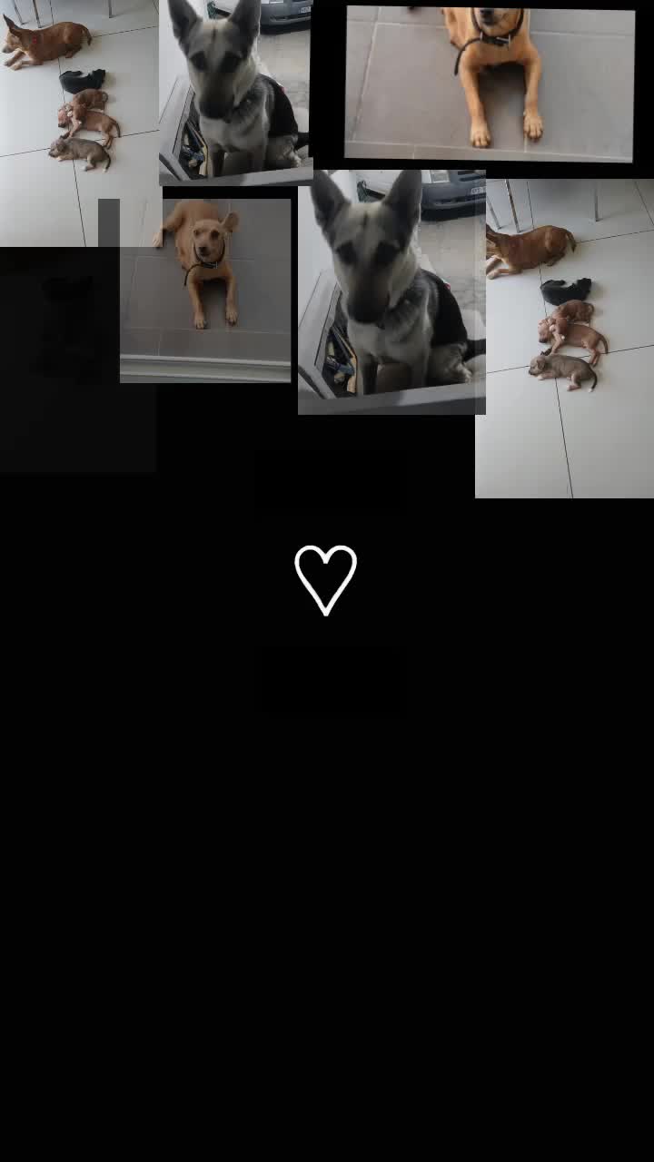 @fotini 🥰 🥰