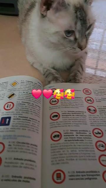 @Z, mebi🎼